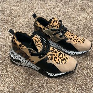 Steve Madden Shoes